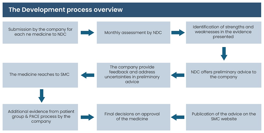 Development Process 