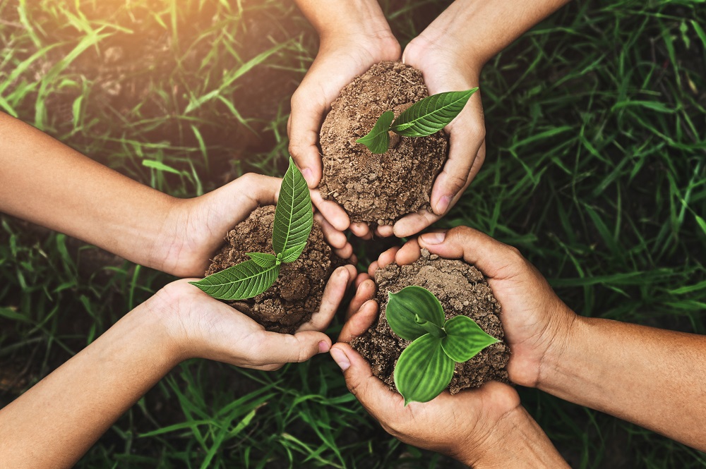 Some may define the EU Taxonomy as the response to ‘What is green?
