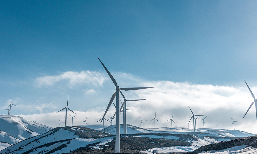 Sustainable growth