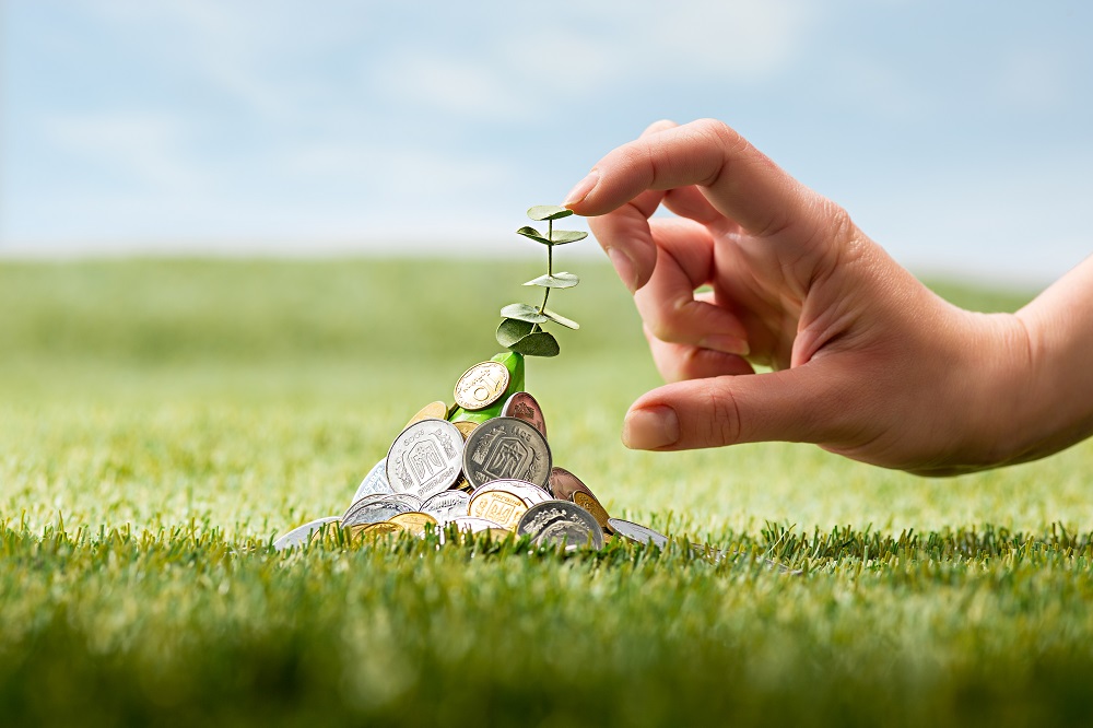 Investment growth