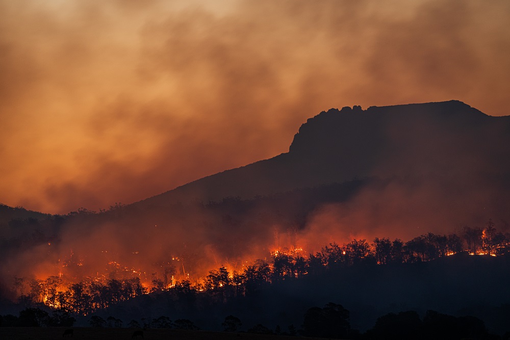 Climate crisis