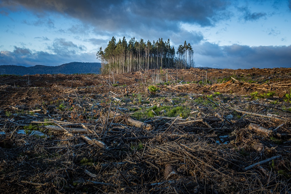 Climate effects framework