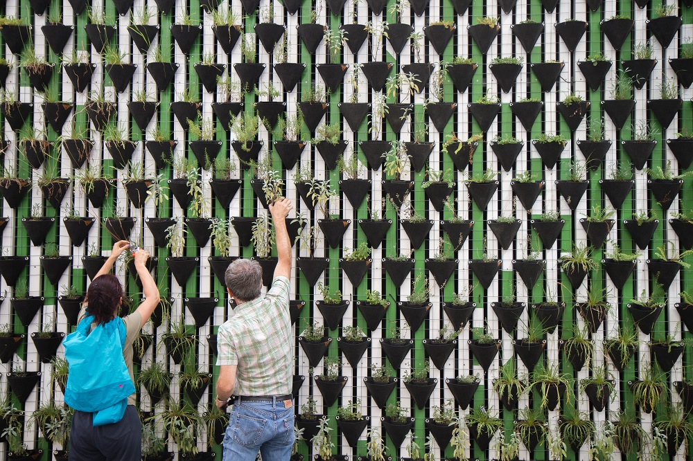 Growing sustainable debt market