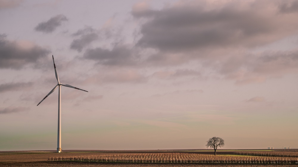 Sustainable innovation