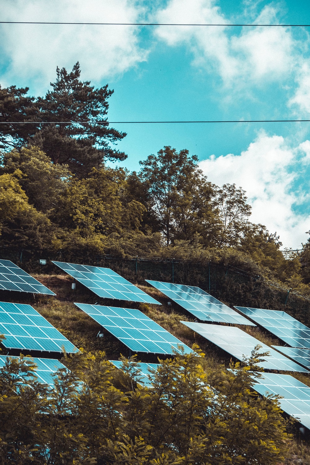 global efforts to align sustainability goals
