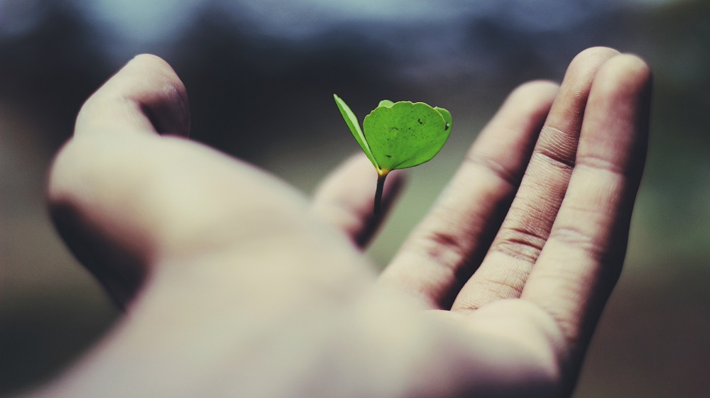Sustainable development
