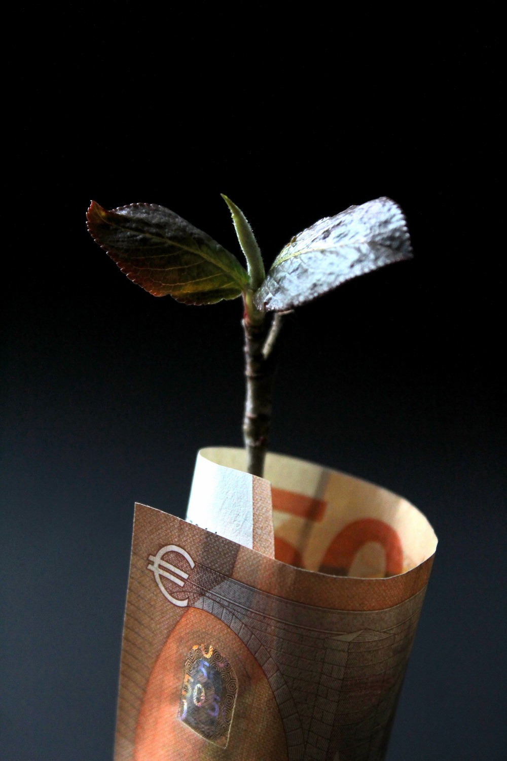 Economic Turmoil