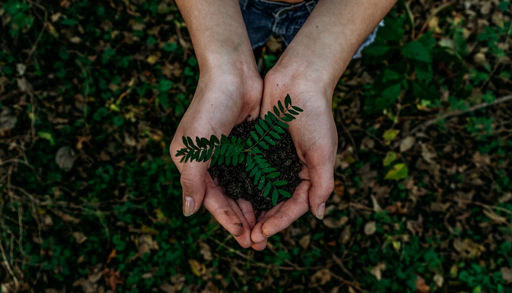 Key Leader of Sustainability Agenda