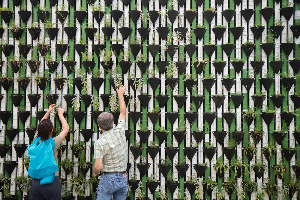 Sustainability