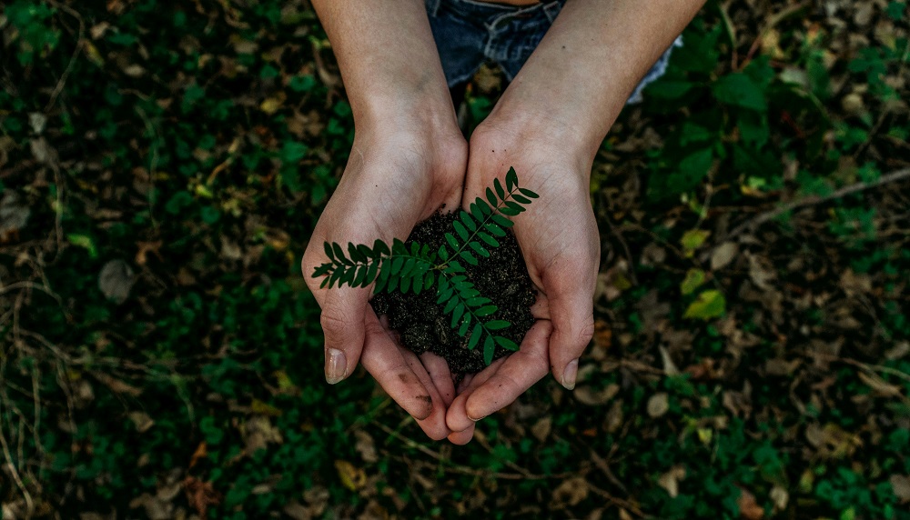 Difference between esg and sustainability