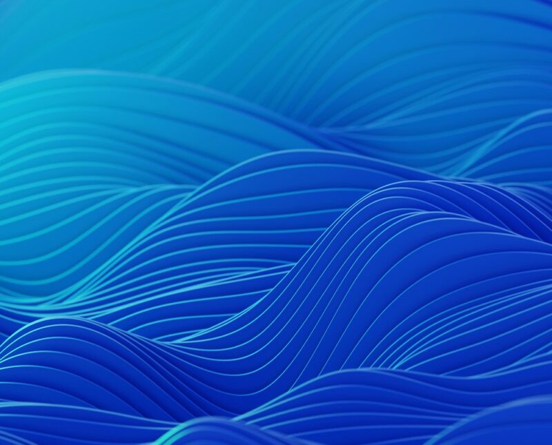 What is a Net Promoter Score – How to Calculate NPS?